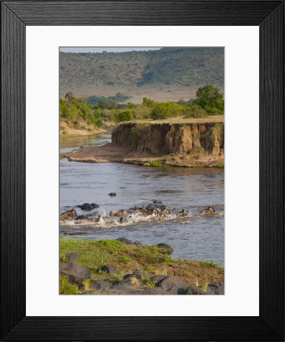 Framed Print : DDE-90020418