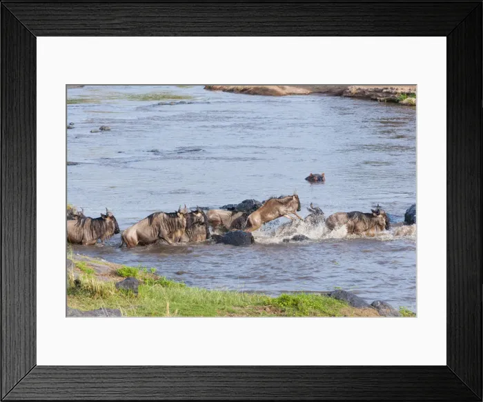 Framed Print : DDE-90020419 Framed Print : DDE-90020419