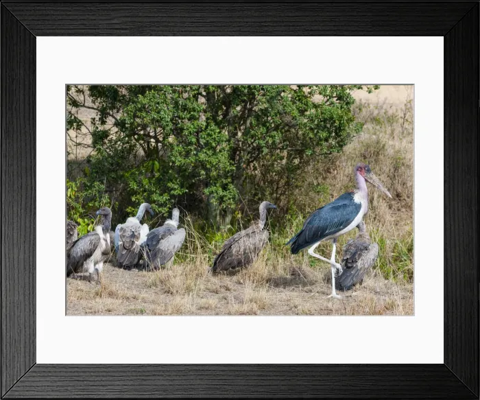 Framed Print : DDE-90020429 Framed Print : DDE-90020429
