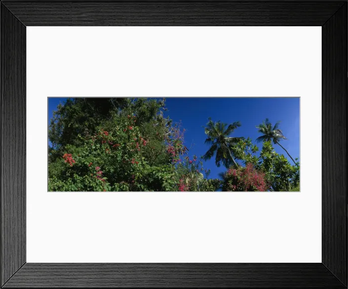 Framed Print : DDE-90020432 Framed Print : DDE-90020432