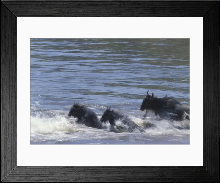 Framed Print : DDE-90020438 Framed Print : DDE-90020438