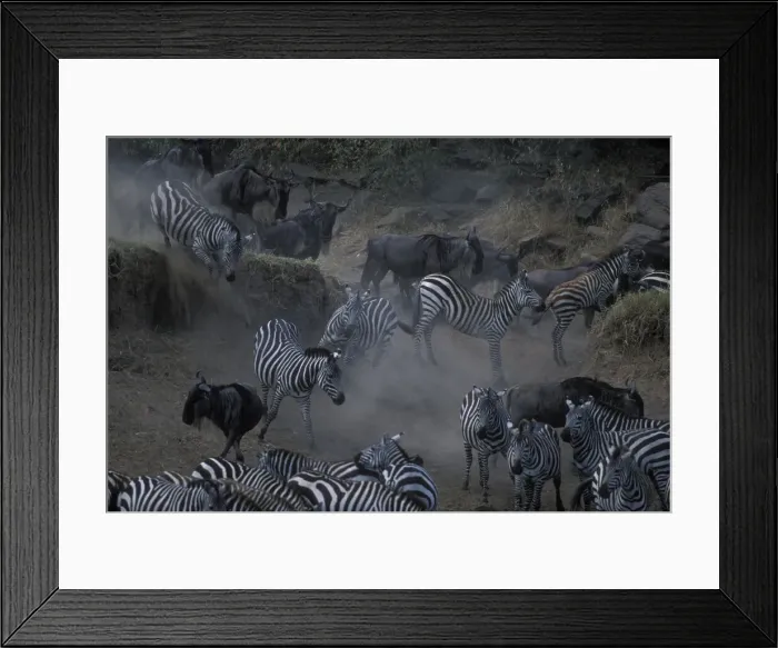 Framed Print : DDE-90020435 Framed Print : DDE-90020435