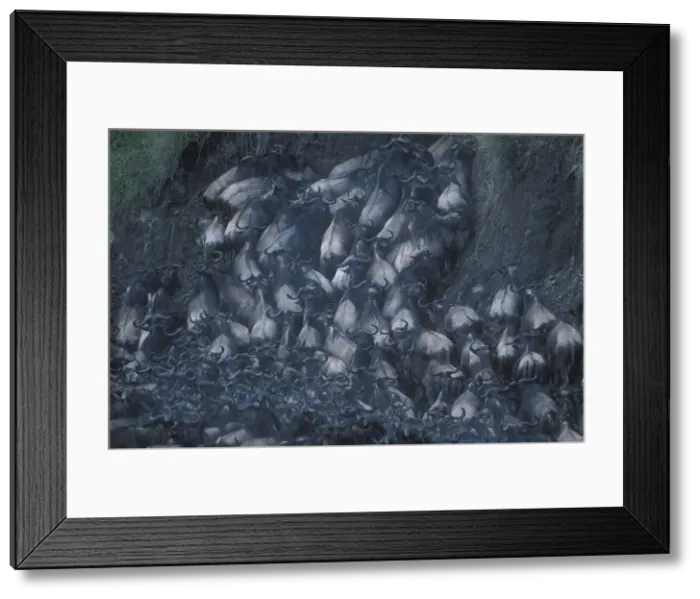Framed Print : DDE-90020440 Framed Print : DDE-90020440