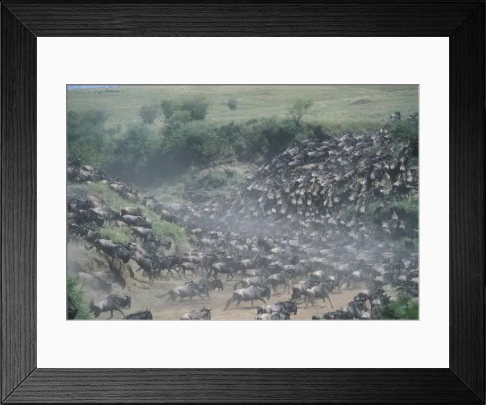 Framed Print : DDE-90020441 Framed Print : DDE-90020441