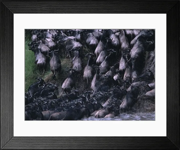 Framed Print : DDE-90020439 Framed Print : DDE-90020439