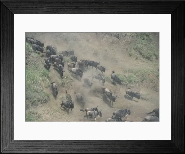 Framed Print : DDE-90020442