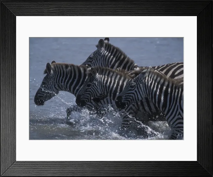 Framed Print : DDE-90020448 Framed Print : DDE-90020448