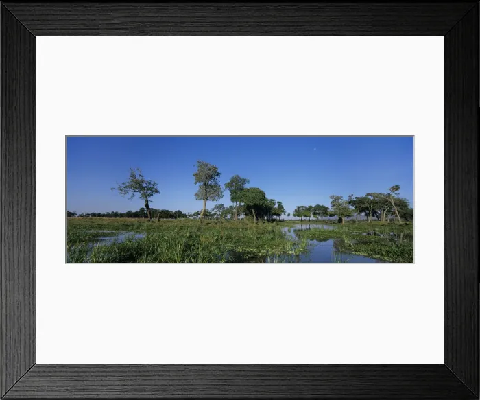 Framed Print : DDE-90020451 Framed Print : DDE-90020451