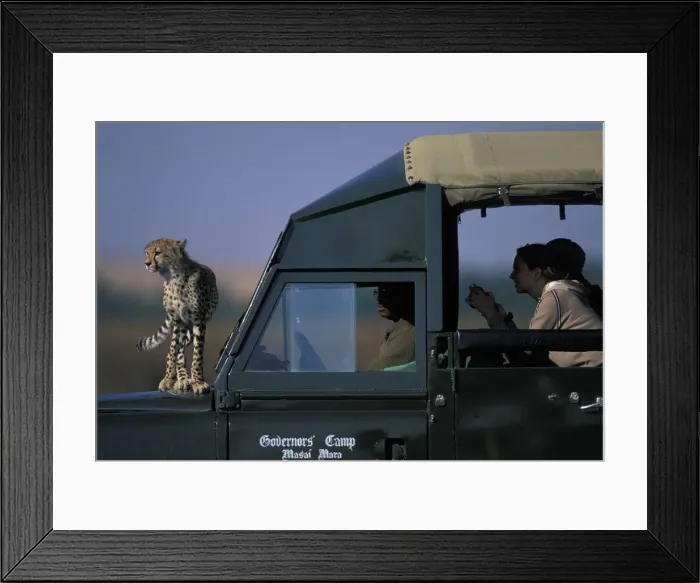 Framed Print : DDE-90020453
