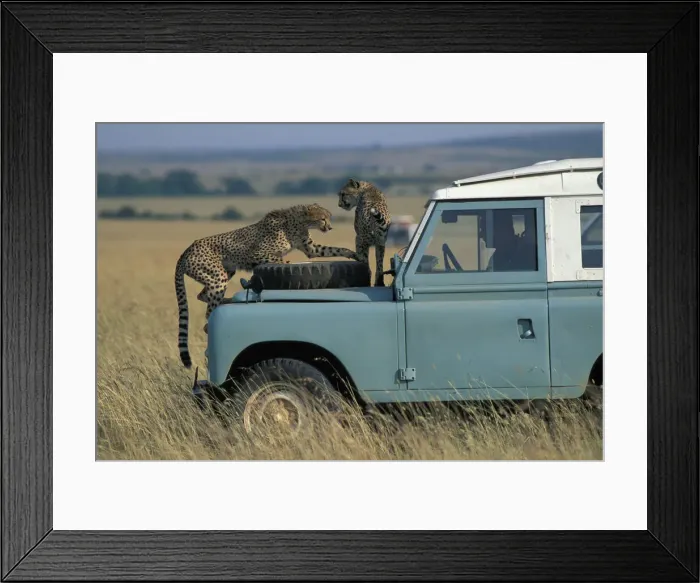 Framed Print : DDE-90020458 Framed Print : DDE-90020458