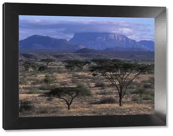 Africa, Kenya, Samburu National Reserve