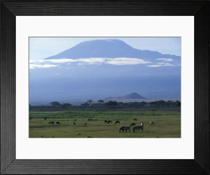 Framed Print : DDE-90020469 Framed Print : DDE-90020469