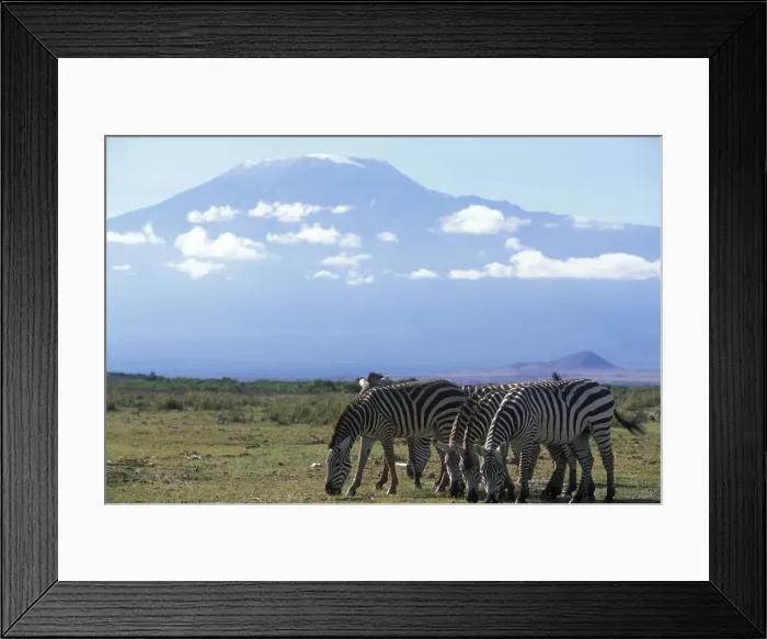 Framed Print : DDE-90020472 Framed Print : DDE-90020472