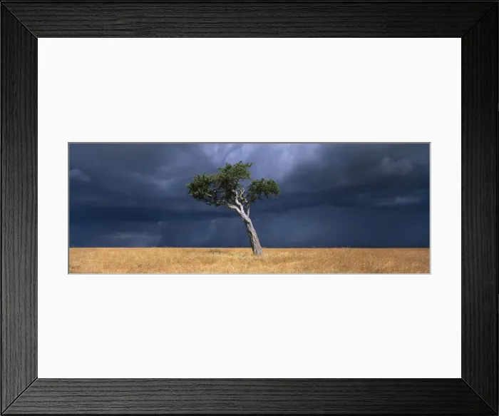 Framed Print : DDE-90020476 Framed Print : DDE-90020476