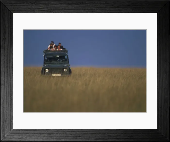 Framed Print : Africa, Kenya, Masai Mara Game Reserve Framed Print : Africa, Kenya, Masai Mara Game Reserve
