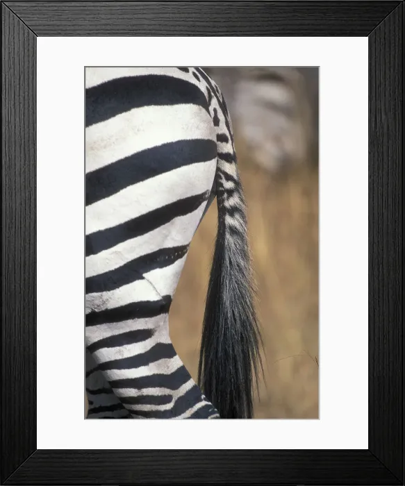 Framed Print : DDE-90020478