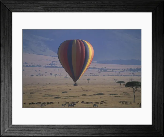 Framed Print : DDE-90020481 Framed Print : DDE-90020481