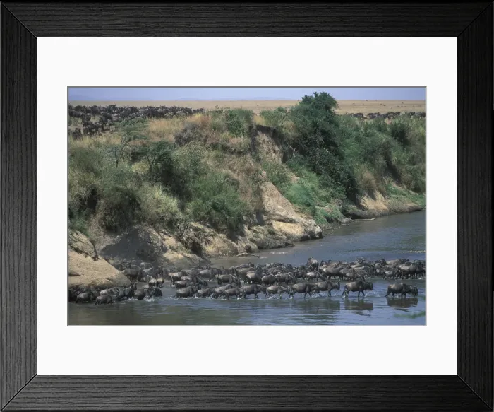 Framed Print : DDE-90020484 Framed Print : DDE-90020484