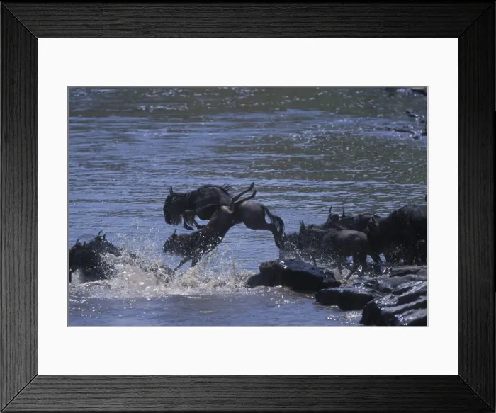 Framed Print : DDE-90020487 Framed Print : DDE-90020487