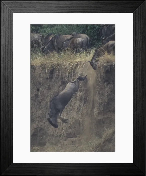 Framed Print : DDE-90020488