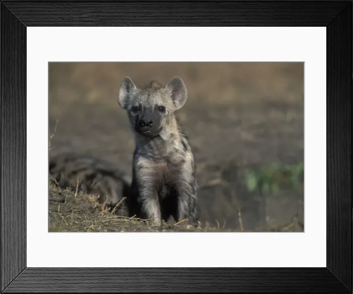 Framed Print : DDE-90020490