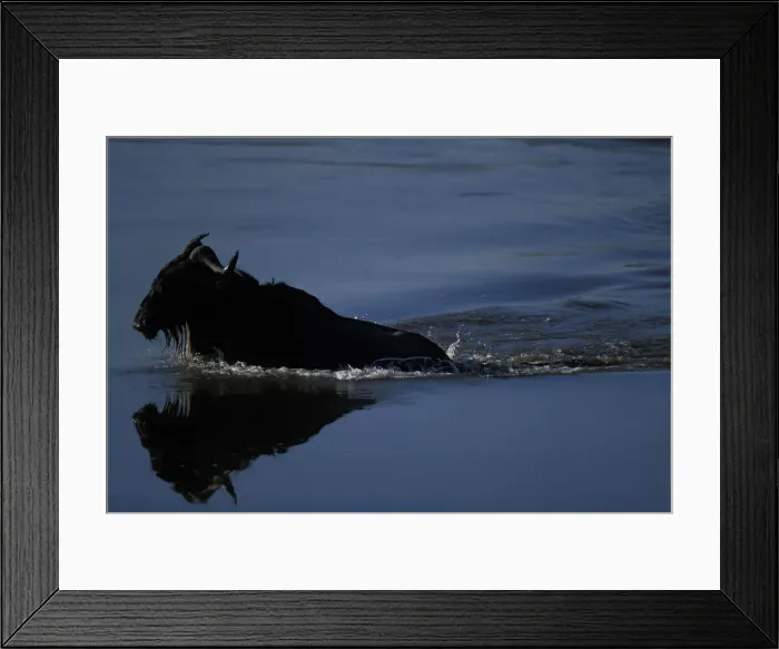 Framed Print : DDE-90020496 Framed Print : DDE-90020496