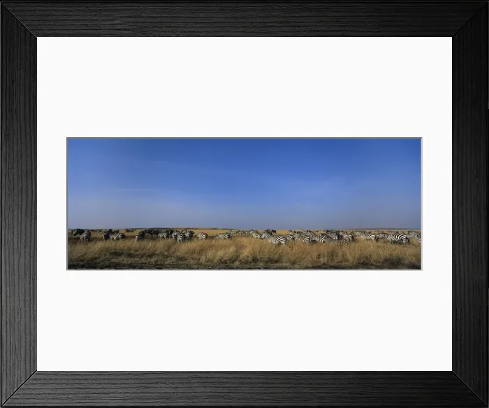 Framed Print : DDE-90020506 Framed Print : DDE-90020506