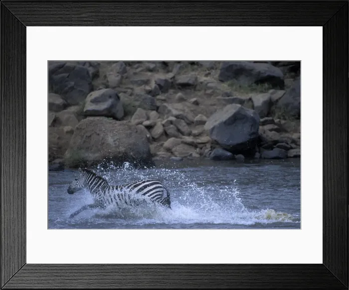 Framed Print : DDE-90020508 Framed Print : DDE-90020508