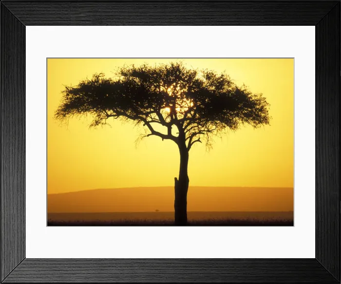 Framed Print : DDE-90020527