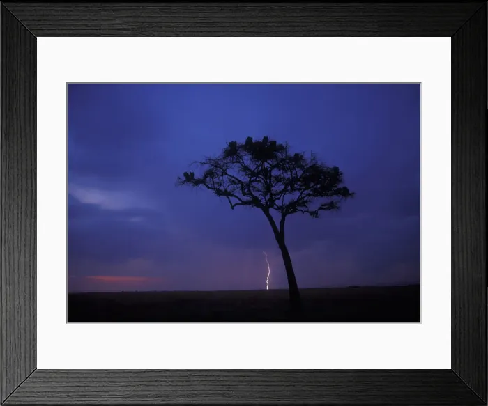 Framed Print : DDE-90020528 Framed Print : DDE-90020528