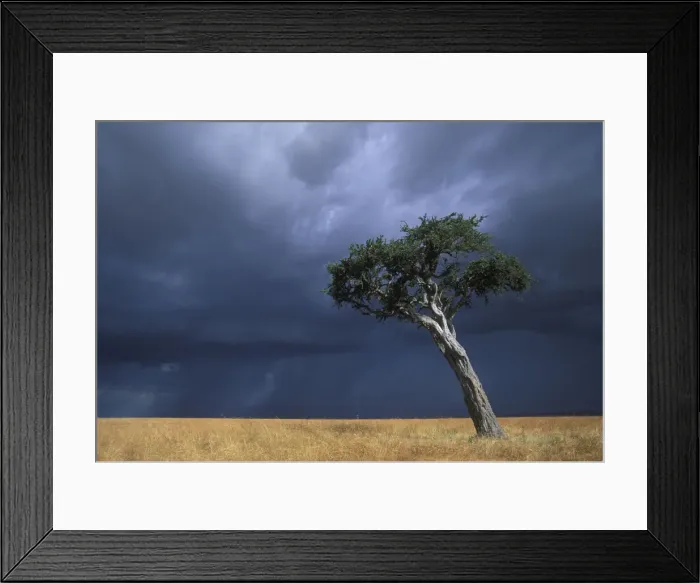 Framed Print : DDE-90020530 Framed Print : DDE-90020530