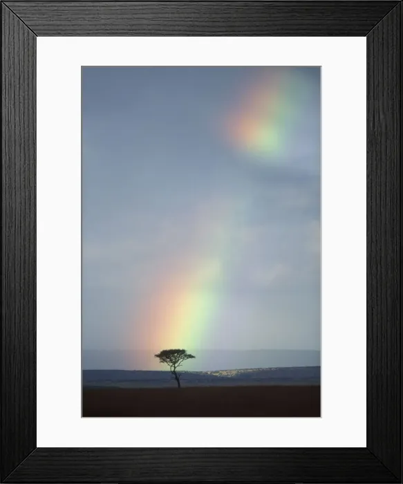 Framed Print : DDE-90020529