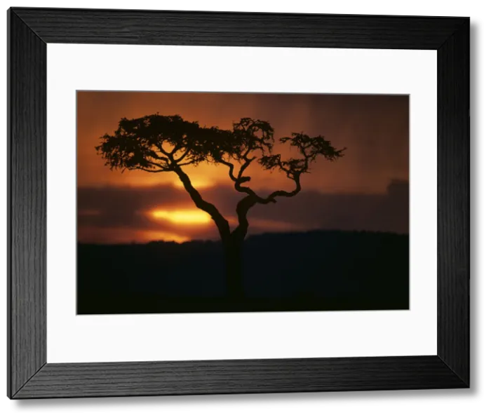 Framed Print : DDE-90020543 Framed Print : DDE-90020543