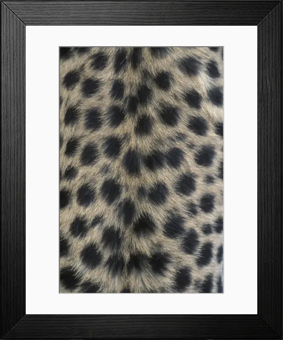 Framed Print : DDE-90020546 Framed Print : DDE-90020546