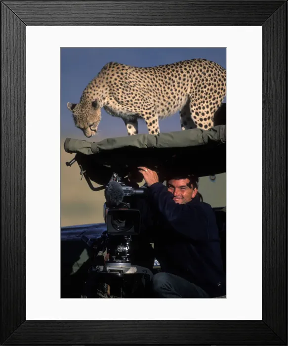 Framed Print : DDE-90020548 Framed Print : DDE-90020548
