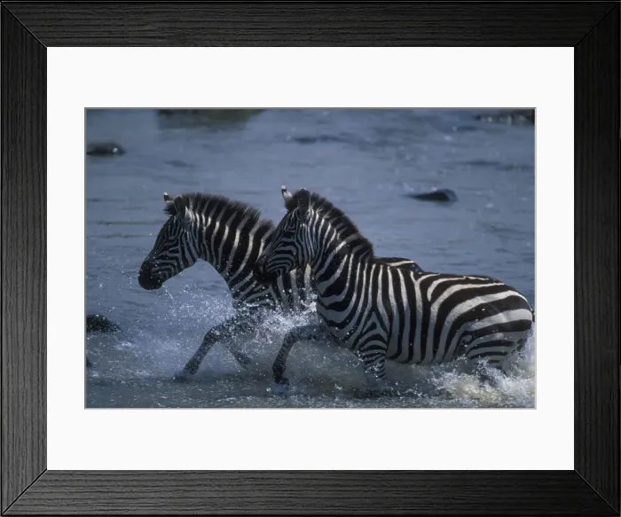 Framed Print : DDE-90020553 Framed Print : DDE-90020553