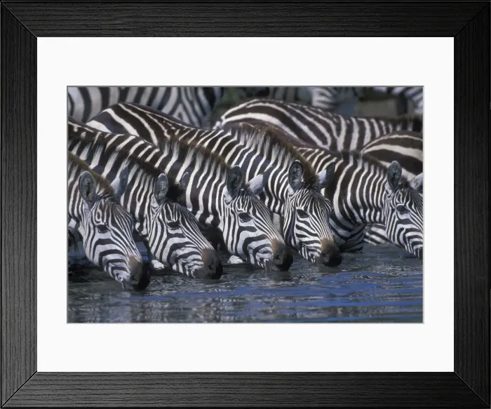 Framed Print : DDE-90020554 Framed Print : DDE-90020554