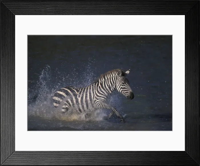 Framed Print : DDE-90020562 Framed Print : DDE-90020562