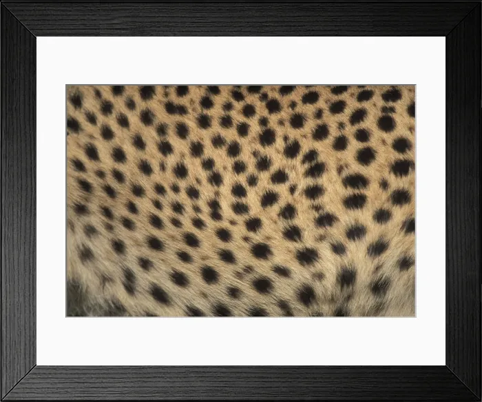 Framed Print : DDE-90020561 Framed Print : DDE-90020561