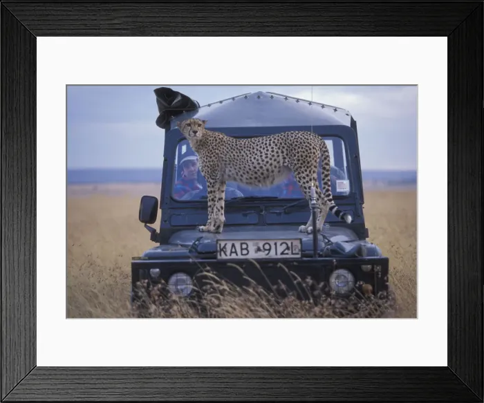 Framed Print : DDE-90020563 Framed Print : DDE-90020563