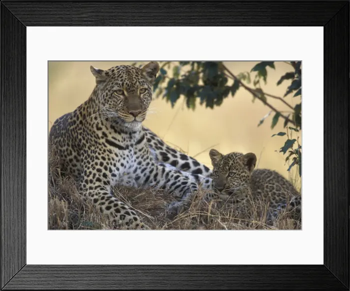 Framed Print : DDE-90020587
