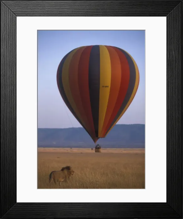 Framed Print : DDE-90020590