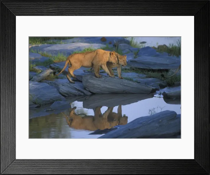 Framed Print : DDE-90020598 Framed Print : DDE-90020598