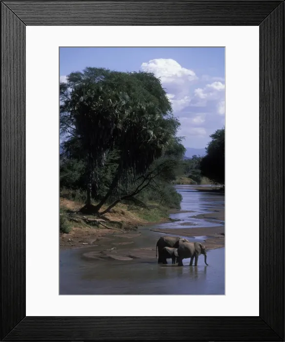 Framed Print : DDE-90020622 Framed Print : DDE-90020622