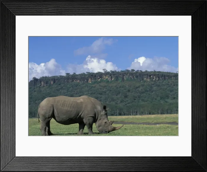 Framed Print : DDE-90020623 Framed Print : DDE-90020623