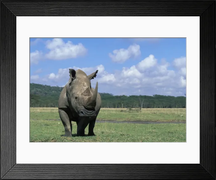 Framed Print : DDE-90020624 Framed Print : DDE-90020624