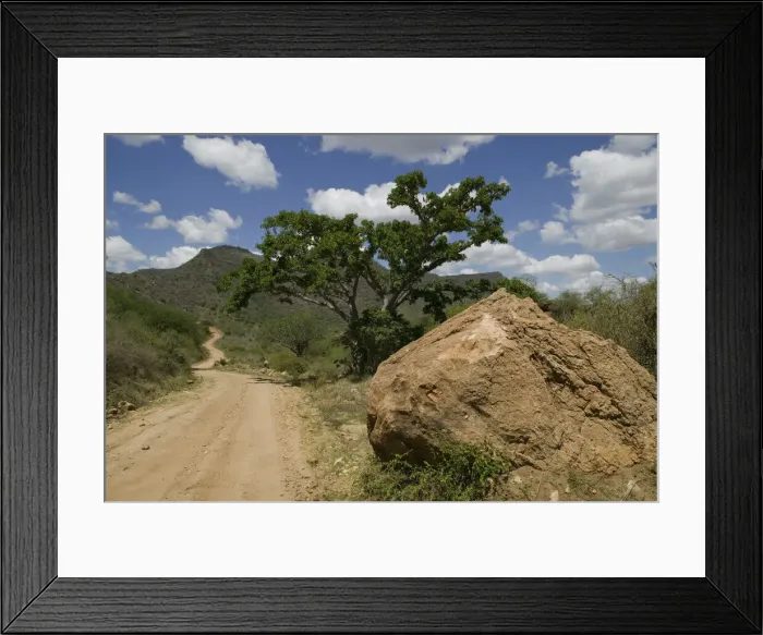 Framed Print : DDE-90020632 Framed Print : DDE-90020632