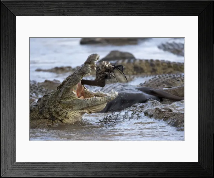 Framed Print : DDE-90020636