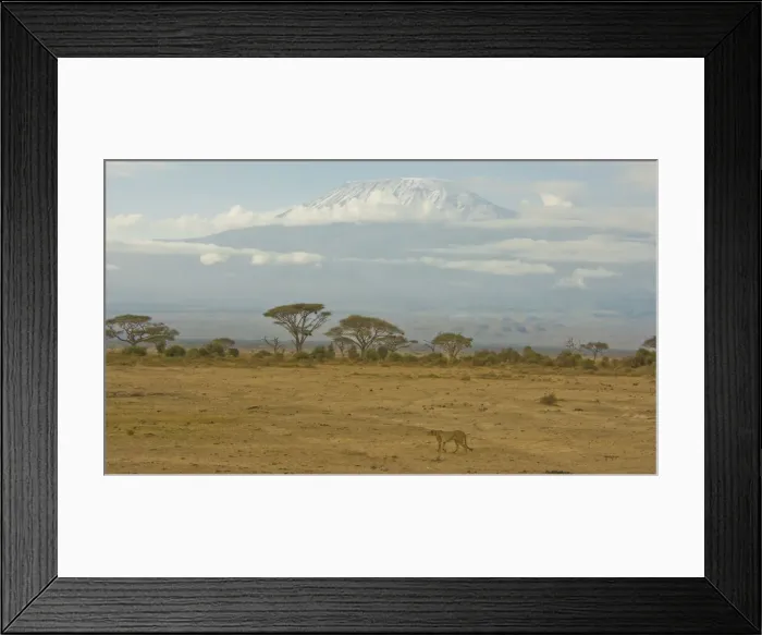 Framed Print : DDE-90020644 Framed Print : DDE-90020644
