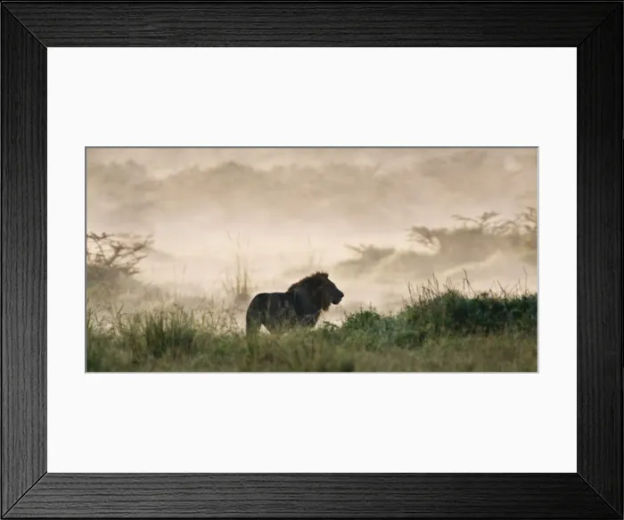 Framed Print : DDE-90020670 Framed Print : DDE-90020670